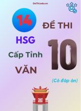 14 Đề thi HSG cấp Tỉnh môn Văn 10 (Có đáp án)